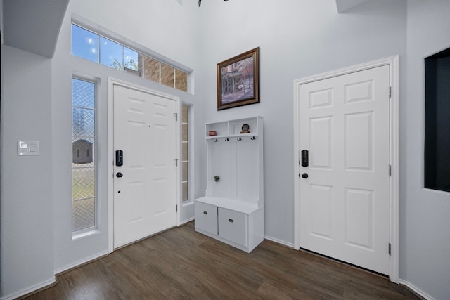 1913 Avante Dr, Cedar Park, TX 78613 - entrance foyer with dark wood-style floors and a towering ceiling
