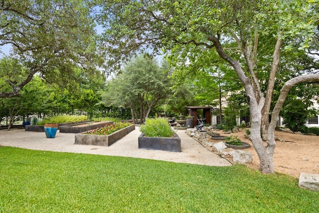 8634 Navidad Dr, Austin, TX 78735 - view of community with a yard and view of scattered trees