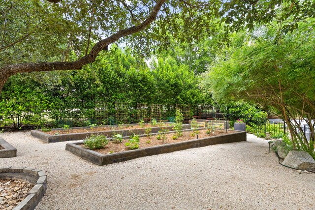 8634 Navidad Dr, Austin, TX 78735 - view of home's community featuring a vegetable garden