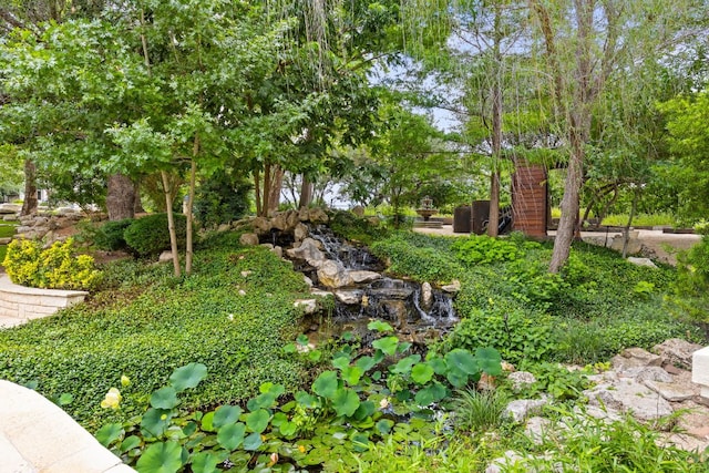 8634 Navidad Dr, Austin, TX 78735 - view of yard