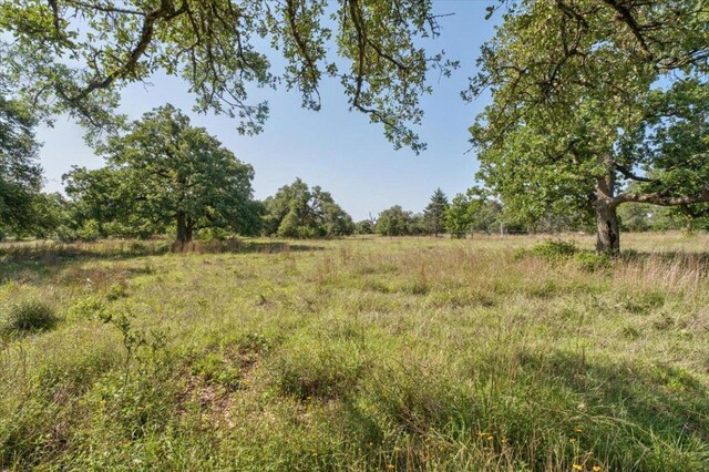 230 Wilderness Cv, Driftwood, TX 78619 - view of nature