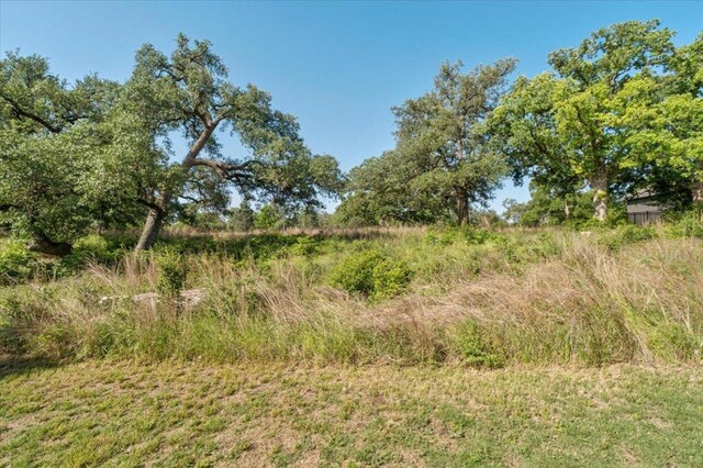 230 Wilderness Cv, Driftwood, TX 78619 - view of local wilderness