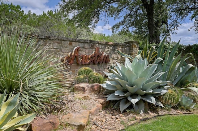 3816 Pappys Way, Austin, TX 78730 - view of yard