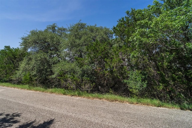21106 Twisting Trl, Lago Vista, TX 78645