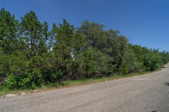 21106 Twisting Trl, Lago Vista, TX 78645