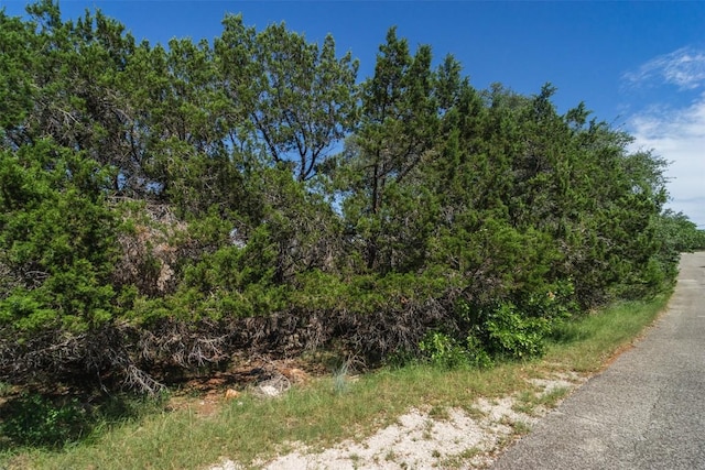 21106 Twisting Trl, Lago Vista, TX 78645