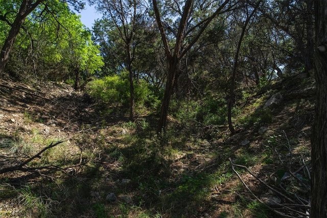 21106 Twisting Trl, Lago Vista, TX 78645