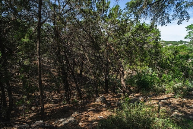21106 Twisting Trl, Lago Vista, TX 78645