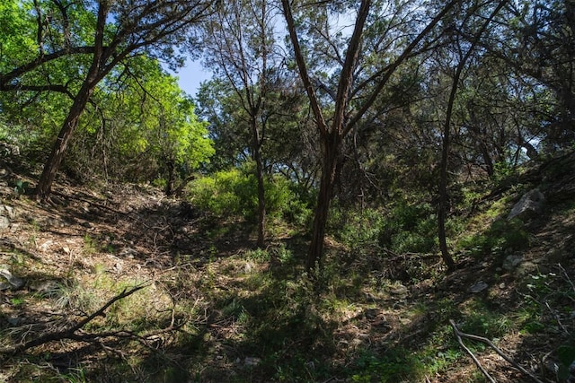 21106 Twisting Trl, Lago Vista, TX 78645