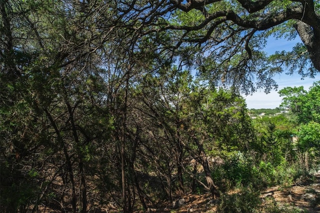 21106 Twisting Trl, Lago Vista, TX 78645