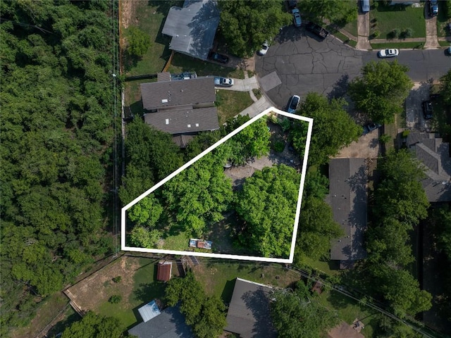 6110 Calmar Cv, Austin, TX 78721 - photo 22