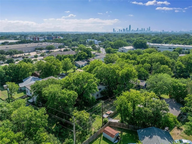 6110 Calmar Cv, Austin, TX 78721 - aerial view of skyline