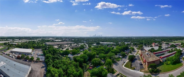6110 Calmar Cv, Austin, TX 78721 - bird's eye view