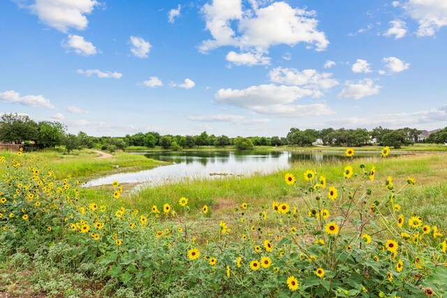 627 Cold River Run, Kyle, TX 78640 - water view