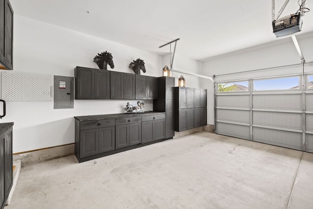 614 W Martingale St W, Georgetown, TX 78633 - garage with a garage door opener and electric panel
