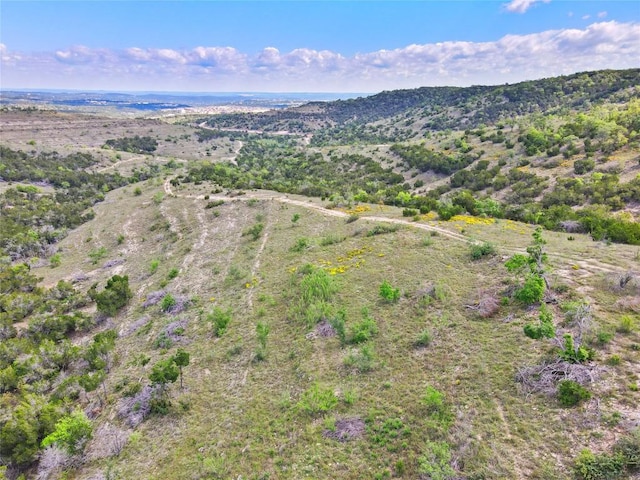 8121 Spiro Trl, Austin, TX 78738 - photo 13