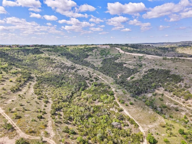 8121 Spiro Trl, Austin, TX 78738 - photo 15