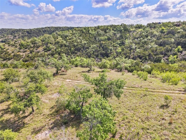 8121 Spiro Trl, Austin, TX 78738 - photo 7