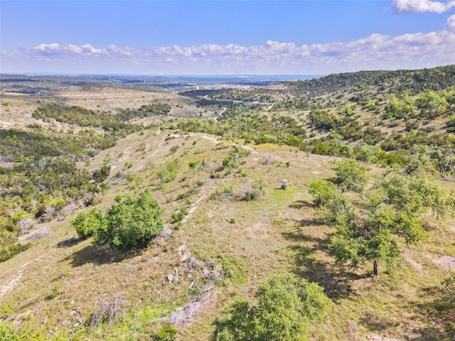 8121 Spiro Trl, Austin, TX 78738 - photo 2