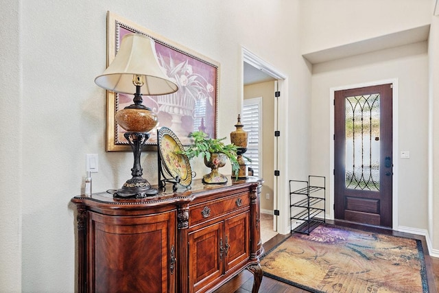 128 Lady Bird Ln, Georgetown, TX 78628 - entryway with wood finished floors