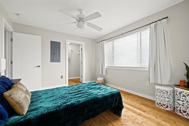 bedroom with wood finished floors, electric panel, a walk in closet, and ceiling fan