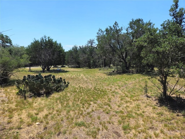 3314 Red Bird Trl, Lago Vista, TX 78645 - photo 26
