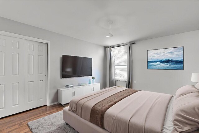 12701 Paloma Blanca Way, Del Valle, TX 78617 - bedroom with wood finished floors and a closet