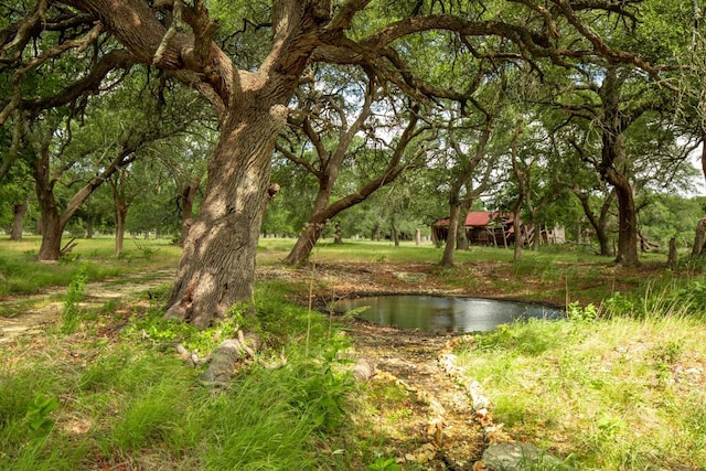 950 County Road 251, Georgetown, TX 78633