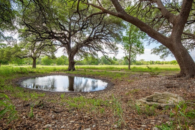 950 County Road 251, Georgetown, TX 78633