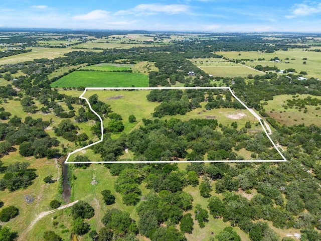 950 County Road 251, Georgetown, TX 78633