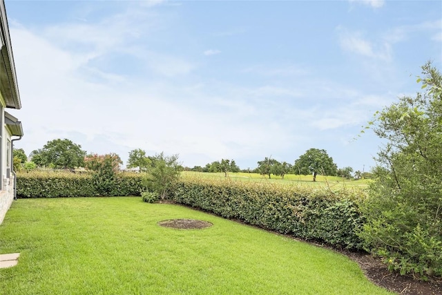 232 Cimarron Hills Trl E, Georgetown, TX 78628 - view of grassy yard