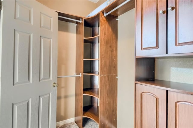 7500 Shadowridge Run Unit 47, Austin, TX 78749 - view of spacious closet