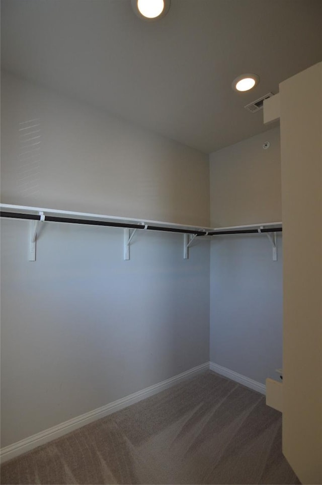6814 E Riverside Dr Unit 52, Austin, TX 78741 - spacious closet with carpet floors