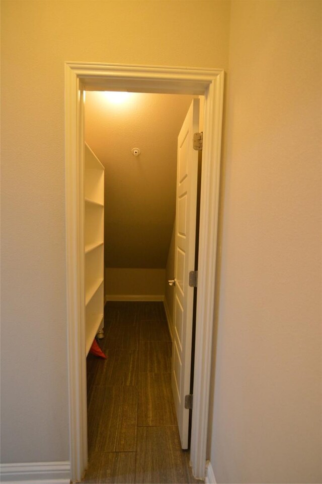 6814 E Riverside Dr Unit 52, Austin, TX 78741 - spacious closet with vaulted ceiling
