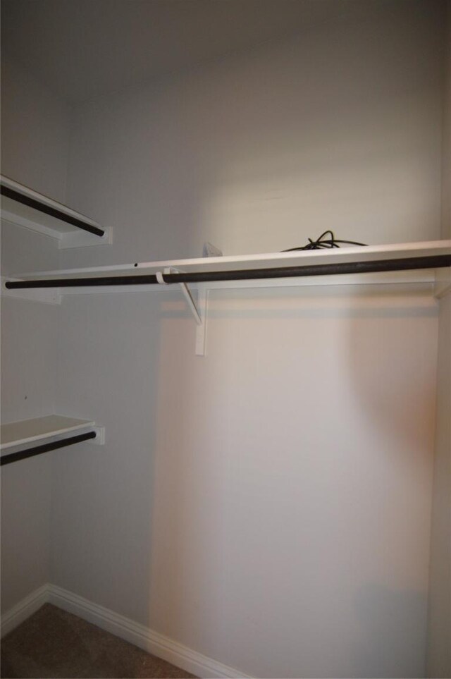 6814 E Riverside Dr Unit 52, Austin, TX 78741 - view of spacious closet