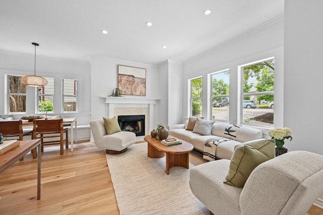 803 Jessie St, Austin, TX 78704 - living area with ornamental molding, recessed lighting, light wood-type flooring, and a fireplace