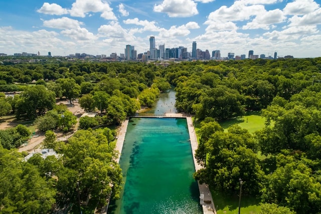 803 Jessie St, Austin, TX 78704 - aerial view of city skyline