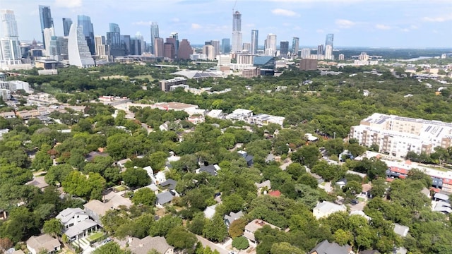 803 Jessie St, Austin, TX 78704 - bird's eye view of skyline