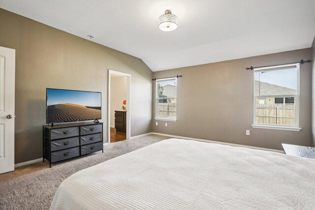 805 Red Tails Dr, Austin, TX 78725 - carpeted bedroom with vaulted ceiling and connected bathroom