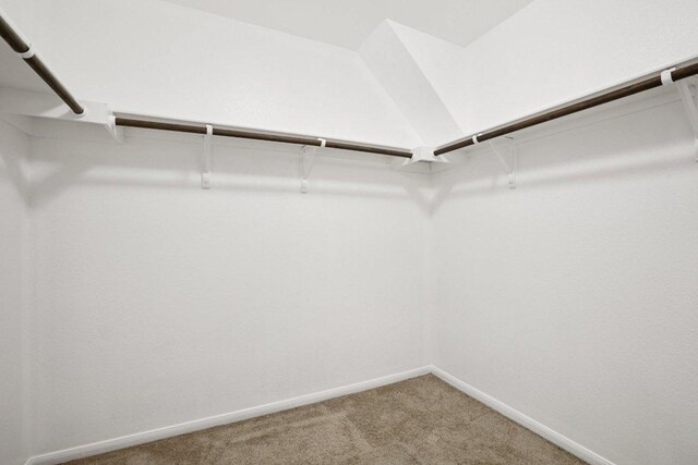 805 Red Tails Dr, Austin, TX 78725 - spacious closet with light colored carpet