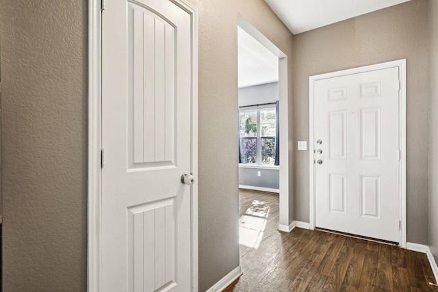 805 Red Tails Dr, Austin, TX 78725 - entrance foyer featuring dark wood-style floors and a textured wall