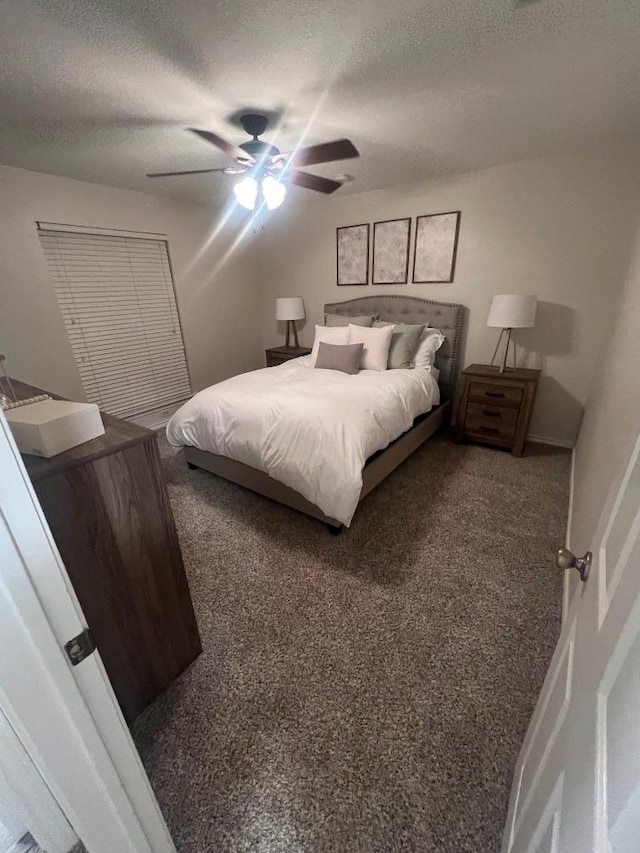 8104 Ephraim Rd, Austin, TX 78717 - bedroom featuring carpet floors, a textured ceiling, and a ceiling fan