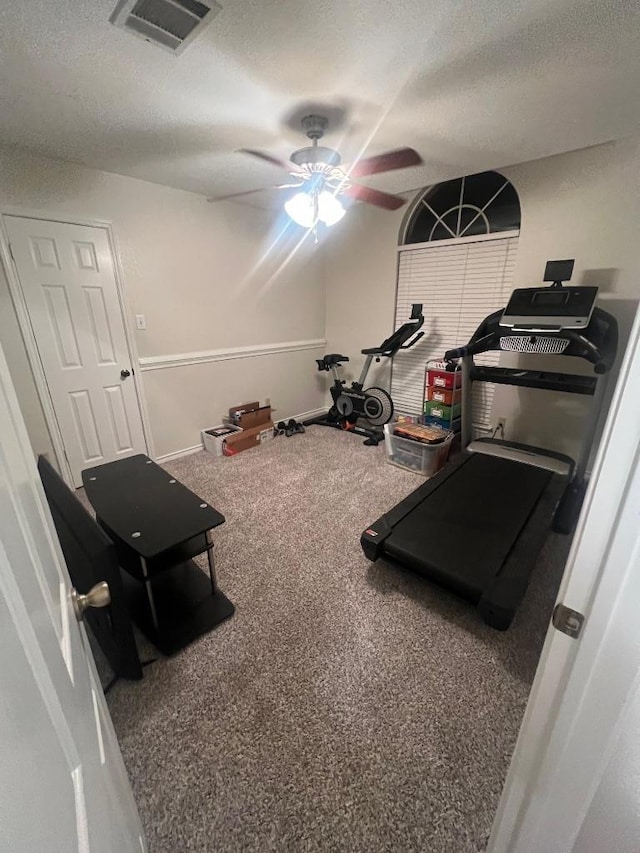 8104 Ephraim Rd, Austin, TX 78717 - exercise area with a ceiling fan, carpet floors, and a textured ceiling