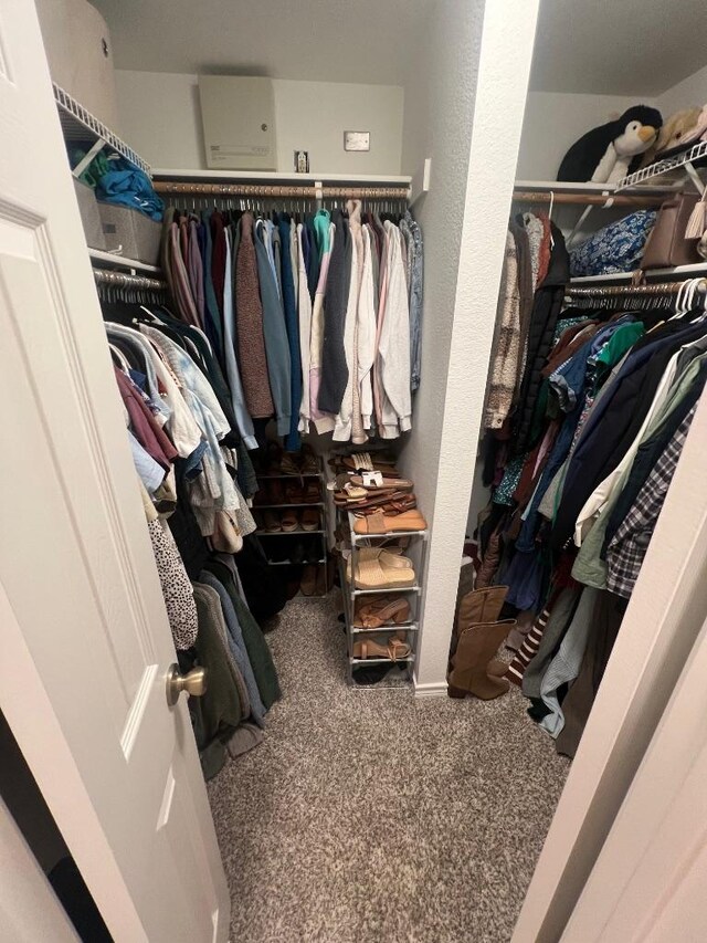 8104 Ephraim Rd, Austin, TX 78717 - spacious closet with carpet floors