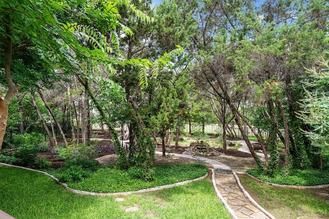 6906 Covered Bridge Dr, Austin, TX 78736 - photo 31