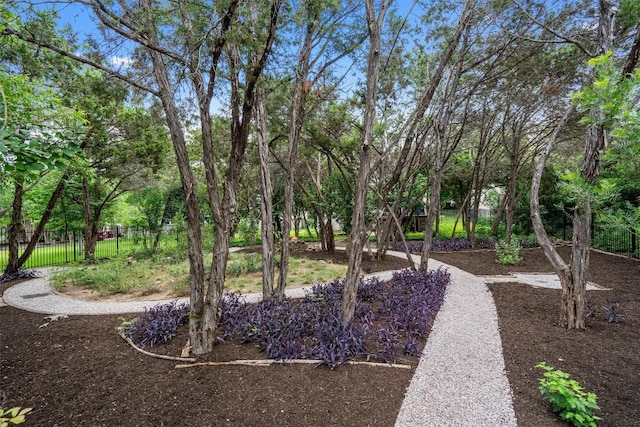 6906 Covered Bridge Dr, Austin, TX 78736 - view of yard
