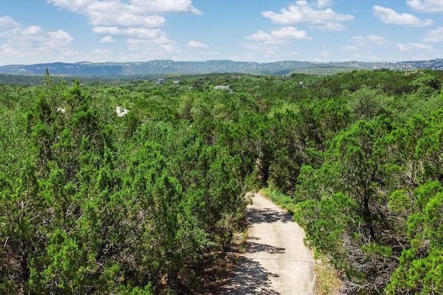 3805 Ranch Creek Dr, Austin, TX 78730 - view of mountain backdrop featuring a forest