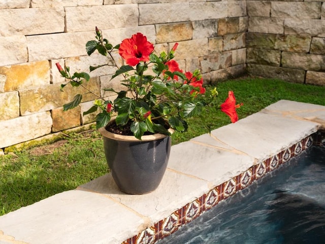 1005 E Riverside Dr, Austin, TX 78704 - exterior view of stone siding