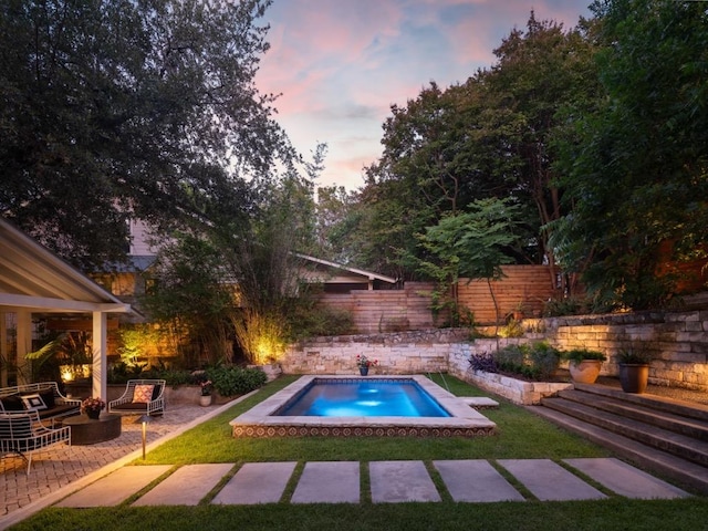 1005 E Riverside Dr, Austin, TX 78704 - view of pool featuring a fenced backyard and a patio