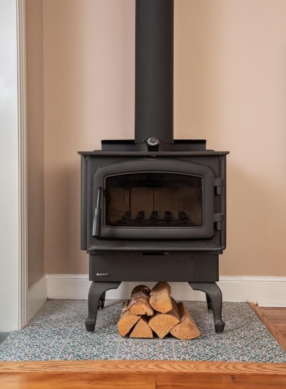 1005 E Riverside Dr, Austin, TX 78704 - detailed view of a wood stove